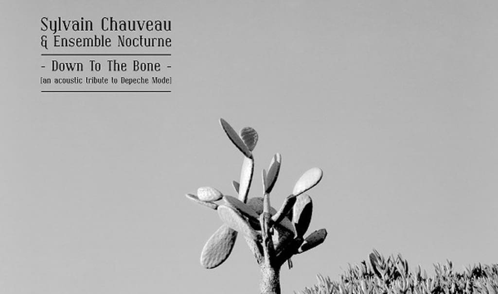 Depeche Mode tribute 'Down to the Bone' by Sylvain Chauveau gets vinyl reissue 10 years after original release - order your copy here