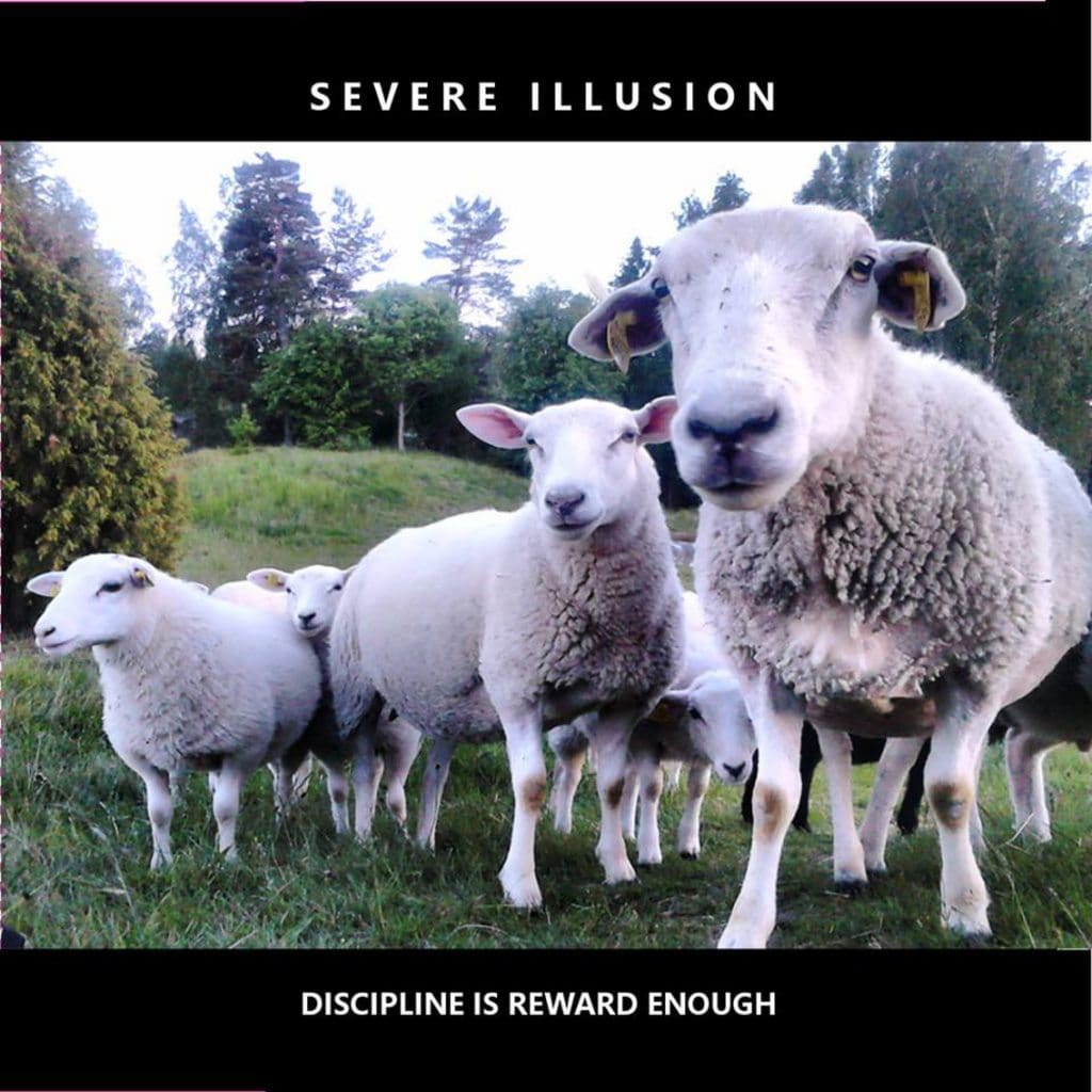 Severe Illusion has 2003 album 'Discipline Is Reward Enough' re-released as 2cd set
