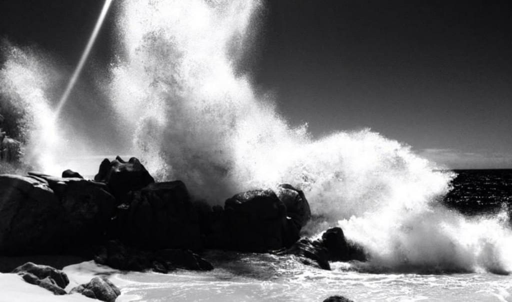Muricidae returns with a 2nd EP, 'Tears Are Stronger Than Waves'