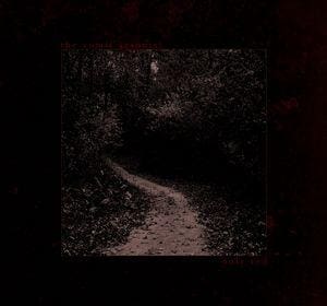 the Vomit Arsonist Only Red cd Album Tumormalignant Records Sideline Magazine the Vomit Arsonist – Only Red (cd Album – Tumor/malignant Records)