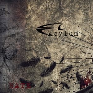 Acylum – Hate