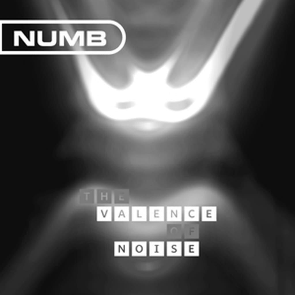 Hard to get Numb tracks compiled on vinyl/CD 'The valence of noise'