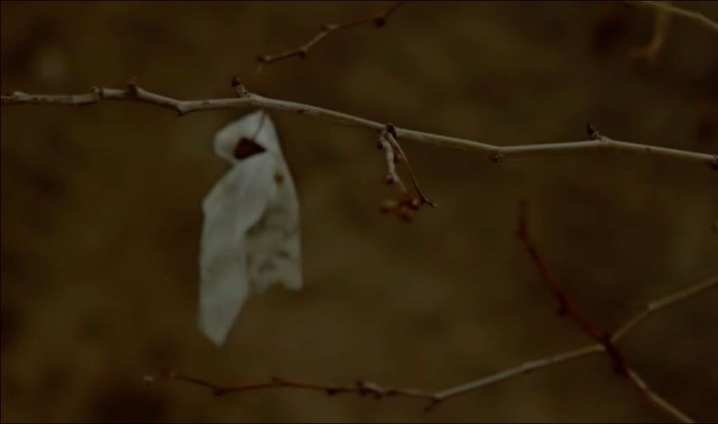 Wordclock launches new official video: 'A Lack of Language'