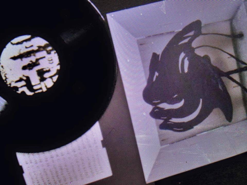 Post-punk Project Ascetic to Release Their Send Album 'everything is Becoming' at the End of March - Available on Vinyl and Cd'Everything is becoming' at the end of March - available on vinyl and CD