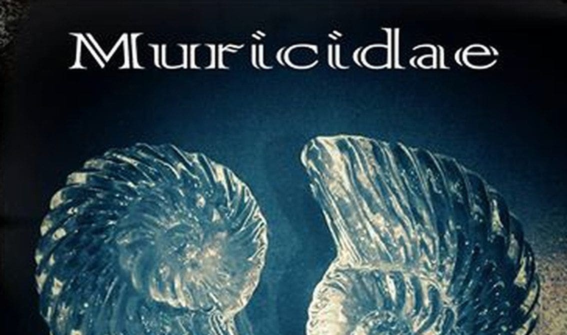 John Fryer launches excellent dark electro pop track'Sold My Soul' for his Muricidae project - listen here