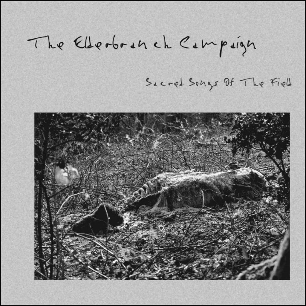 the Elderbranch Campaign Secret Songs of the Field digital Album Elderbranch Rain Label Sideline Magazine the Elderbranch Campaign – Secret Songs of the Field (digital Album - Elderbranch Rain Label)