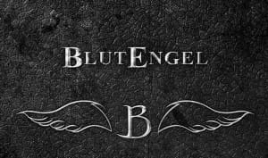 10 vinyl LP boxset for Blutengel ready for pre-order: 'History - The Vinyl Collection'