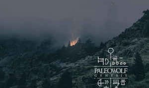 Cryo Chamber welcomes Paleowolf to the label, side project of Scorpio V of Metatron Omega - stream the first 2 tracks from the new album 'Genesis'
