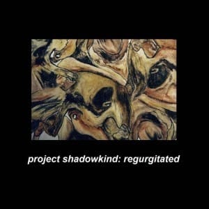 Project Shadowkind – Regurgitated