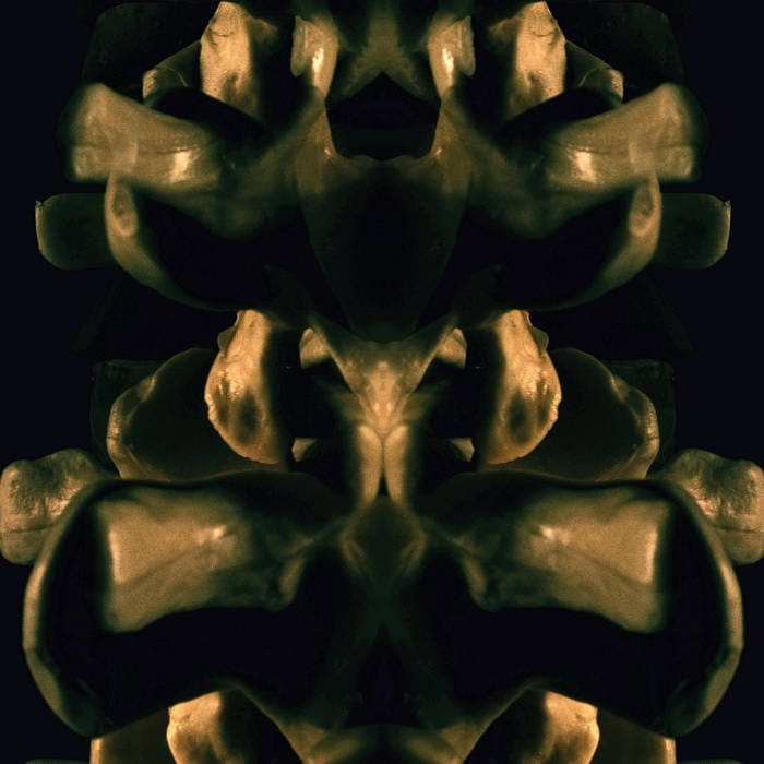 Hexenschuss – Gobbledegook