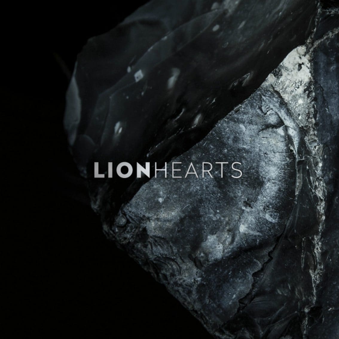 Frank M. Spinath (Seabound, Edge Of Dawn, Ghost & Writer) releases first solo album under Lionhearts moniker