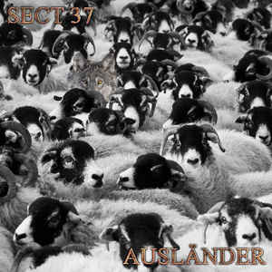 Sect 37 – Ausländer