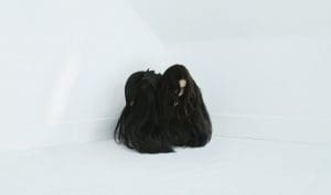 Goth rock at its best: double vinyl release for Chelsea Wolfe's 'Hiss Spun' album - produced by Converge guitarist, Kurt Ballou and feat. Queens of the Stone Age member
