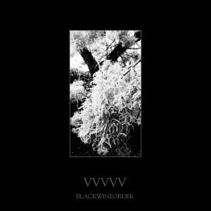 Black Wine Order – VVVVV