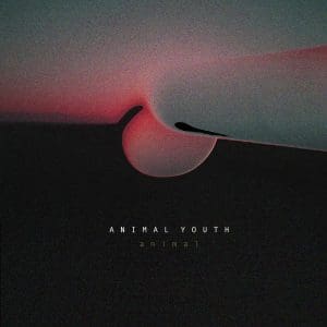 Animal Youth – Animal