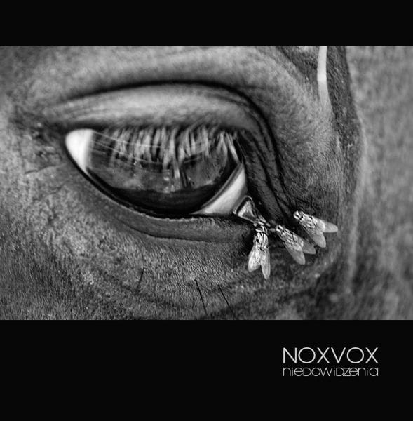 Noxvox – Niedowidzenia