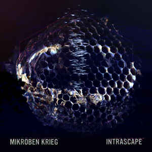 Mikroben Krieg – Intrascape