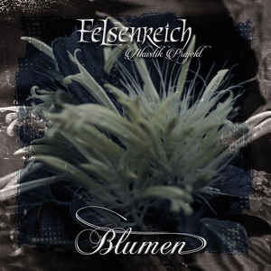 Felsenreich – Blumen / Akustik Projekt