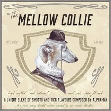 Alphamay – The Mellow Collie