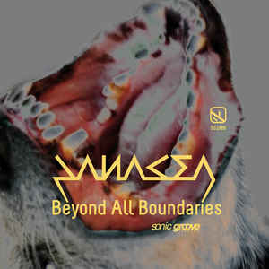 Panacea – Beyond All Boundaries