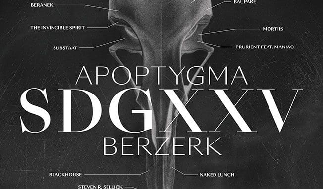 Apoptygma Berzerk - SDGXXV