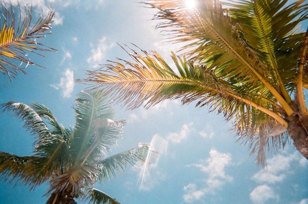 Tips to Go to Study in Florida Sideline Magazine Tips to Go to Study in Florida