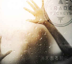 Trade Secrets Before We Vanish cd Album Distortion Productions Sideline Magazine Trade Secrets – Before We Vanish (cd Album – Distortion Productions)