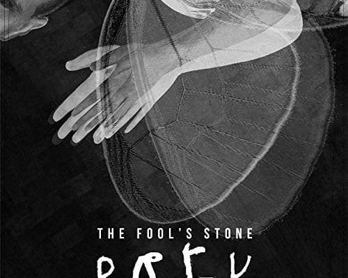The Fool's Stone