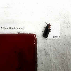 Lpf 12 a Calm Heart Beating digital Album Lpf12 Sideline Magazine Lpf 12 – a Calm Heart Beating (digital Album – Lpf12)