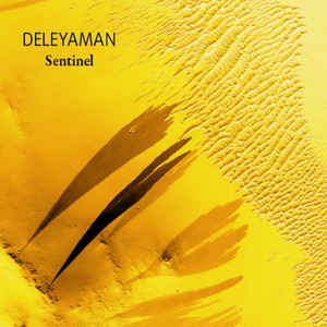 Deleyaman – the Sudbury Inn (album – Tto Records)