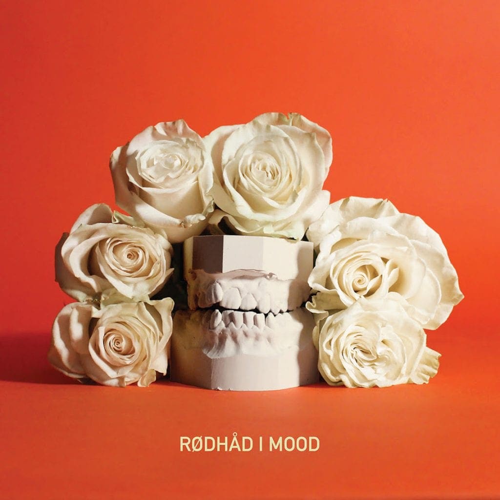 Ambient project Rødhåd launches free download album 'Mood - WSNWGBTZ001'