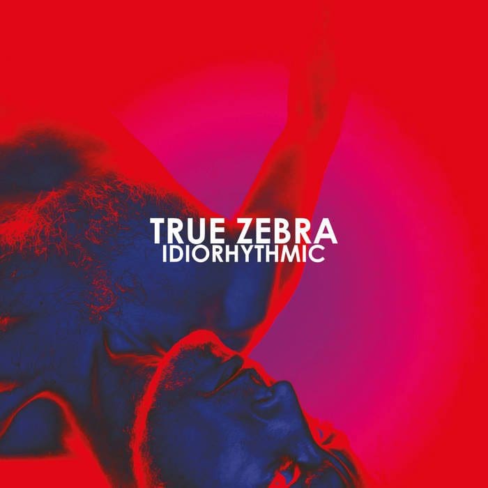True Zebra Idiorhythmic album True Zebra Sideline Magazine True Zebra – Idiorhythmic (album – True Zebra)