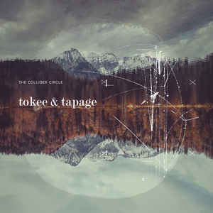 Tapage – Recursive Behaviors (album – Ant-zen)