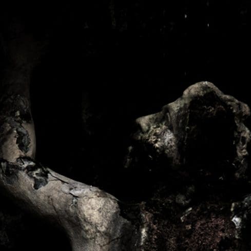 Februum covers Deftones' classic track'Be Quiet and Drive (Far Away)'