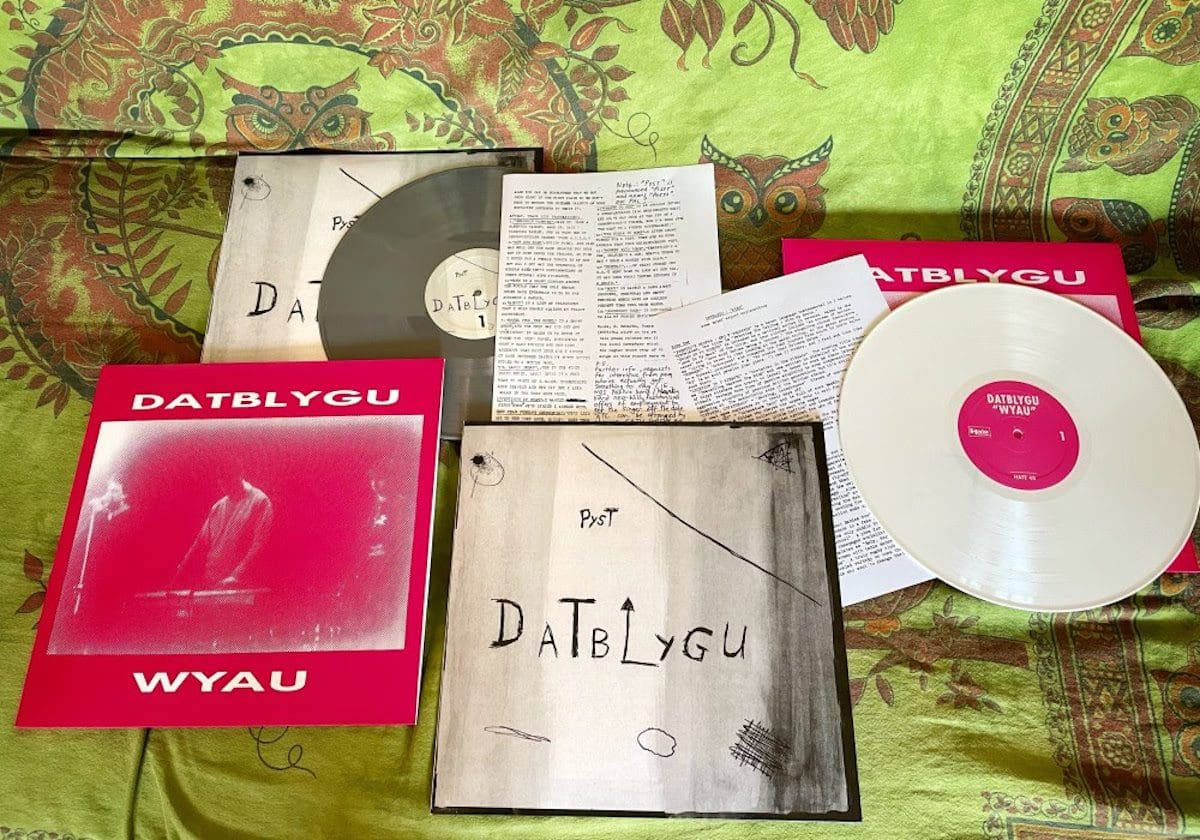 Legendary Welsh experimental duo Datblygu - Kraftwerk with a hangover - reissue first two albums on vinyl