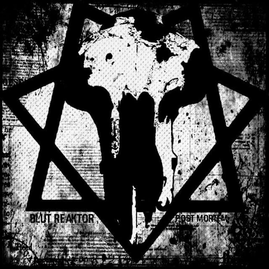 New York Based Dark Electro Project Blut Reaktor Signs to Insane Records and Releases post Mortem Ep Sideline Magazine New York Based Dark Electro Project Blut Reaktor Signs to Insane Records and Releases 'post Mortem' Ep
