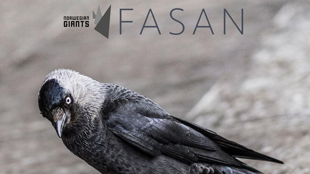 Norwegian Giants Release fasan an Immensely Diverse Collaboration Album Sideline Magazine Norwegian Giants Release 'fasan' – an Immensely Diverse Collaboration Album