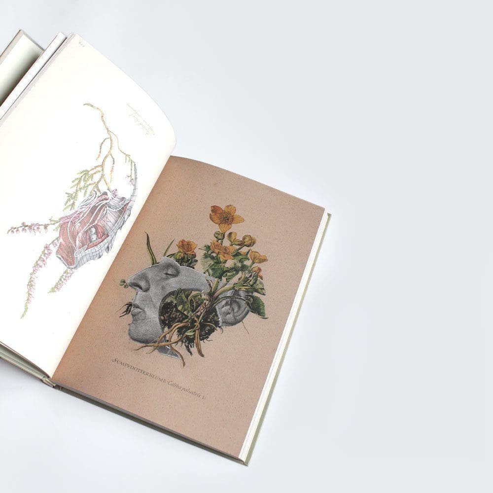 Danish Artist øjerum Offers 'stigma' Book and Cd Exploring the Complex Relationship of Humans and Plants