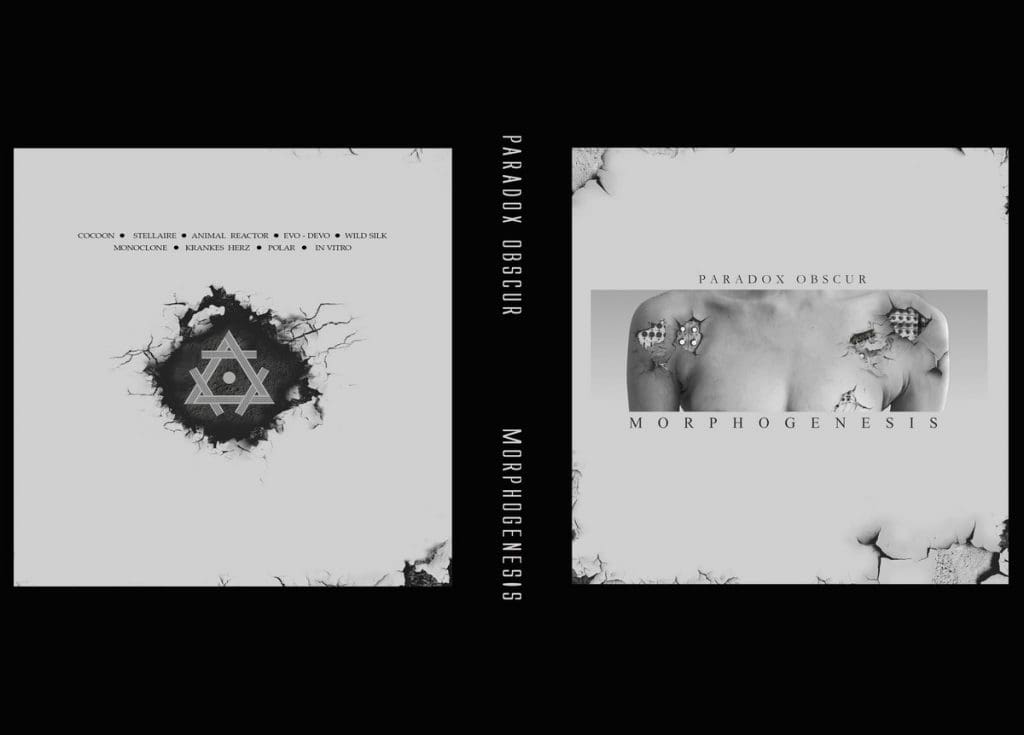 Greek Minimal Electro-wave-pop Paradox Obscur Returns with 'morphogenesis' in May