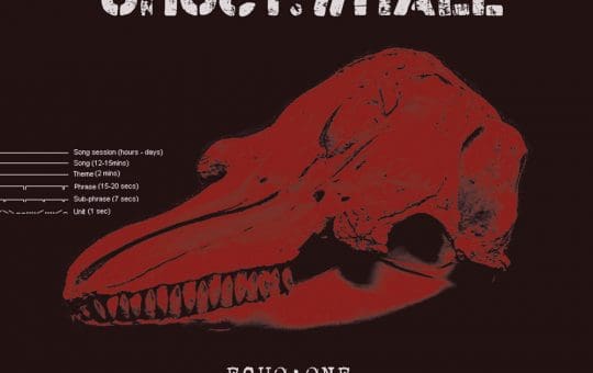 Belgian industrial noise trio Ghost:Whale lands debut album 'Echo:One'