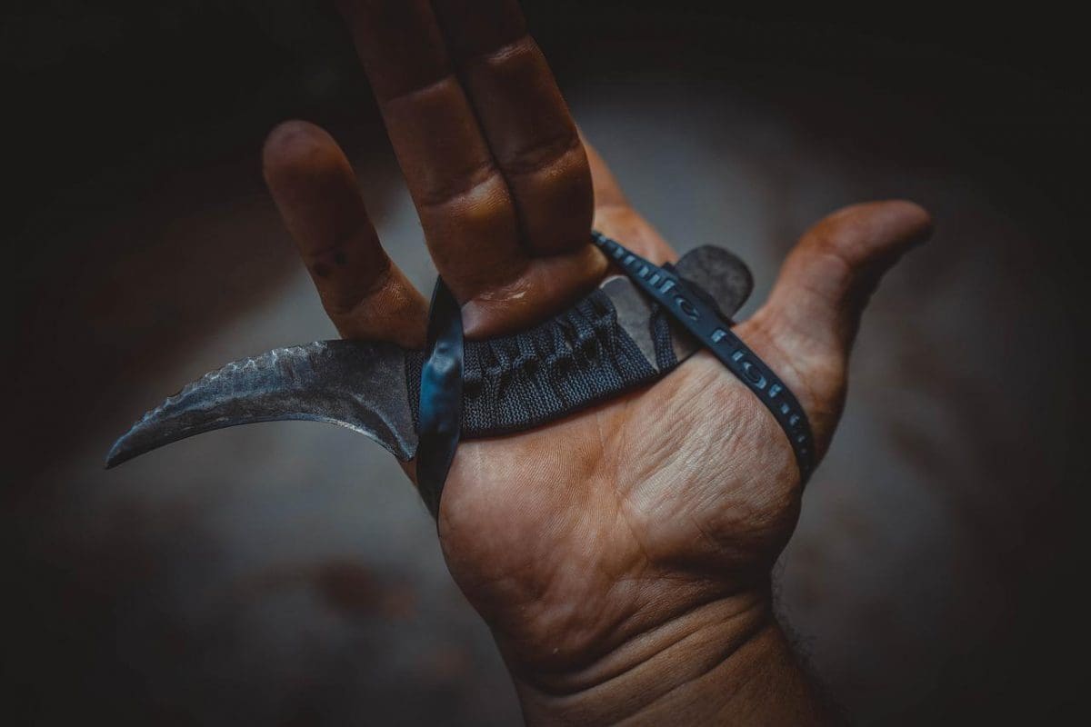 Most Expensive Karambit