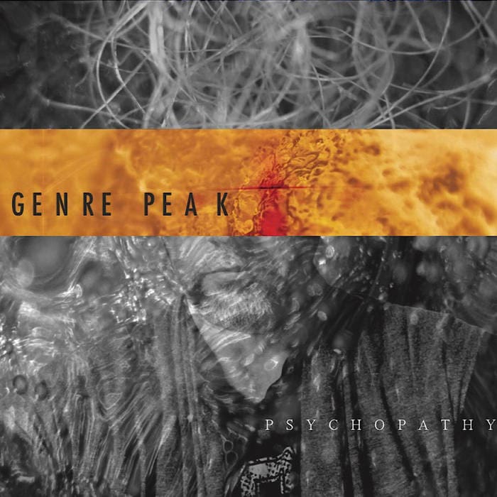 Genre Peak to Release New Album Feat. Collaborations with Steve Jansen, Mick Karn, Richard Barbieri of Japan, Matt Malley of Counting Crows and Jon Hassell