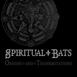 Italian Goth Rock Act Spiritual Bats Collected on 'origins and Transmutations' 4cd Boxset