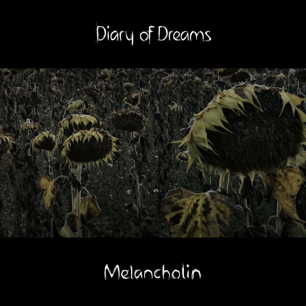 Diary of Dreams – Relive (dcd Album – Accession Records)