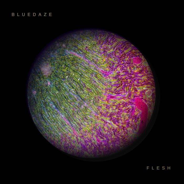 Bluedaze Flesh ep Bluedaze Sideline Magazine Bluedaze – Flesh (ep – Bluedaze)