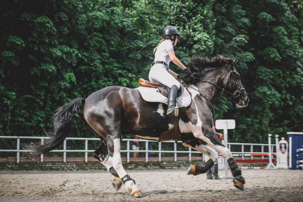 the Rhythmic Gallop How Music Shapes the Atmosphere at Horse Racing Events Sideline Magazine the Rhythmic Gallop: How Music Shapes the Atmosphere at Horse Racing Events