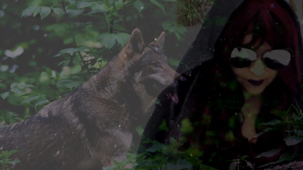 Voidant Joined by Decommissioned Forests + Film Maker Tintin