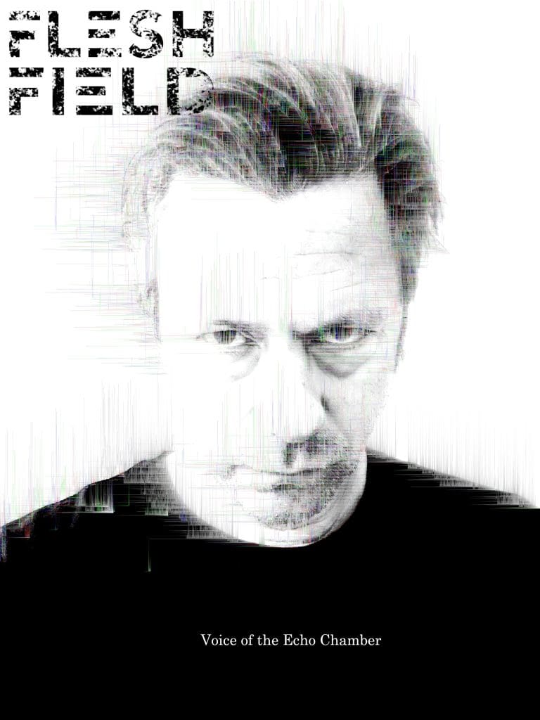 Flesh Field Presents All New voice of the Echo Chamber Lp Sideline Magazine Flesh Field Presents All New 'voice of the Echo Chamber' Lp