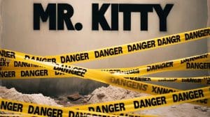 Artoffact Issues Public Apology Amidst Mr Kitty Scandal Sideline Magazine Artoffact Issues Public Apology Amidst Mr. Kitty Scandal