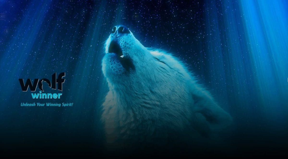 Wolf Winner App Interface